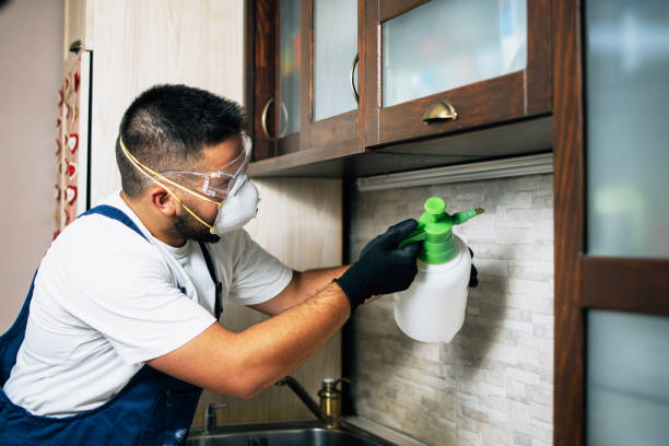 Best Pest Control for Homes  in Canyon, TX