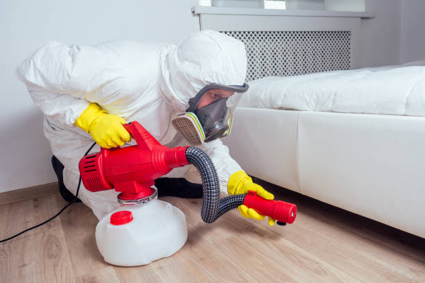 Best Bed Bug Extermination  in Canyon, TX