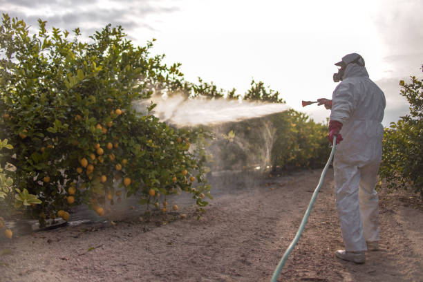  Canyon, TX Pest Control Pros