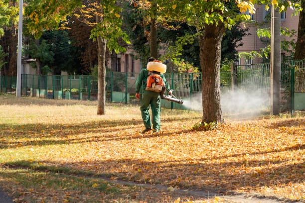 Best Pest Control Near Me in Canyon, TX