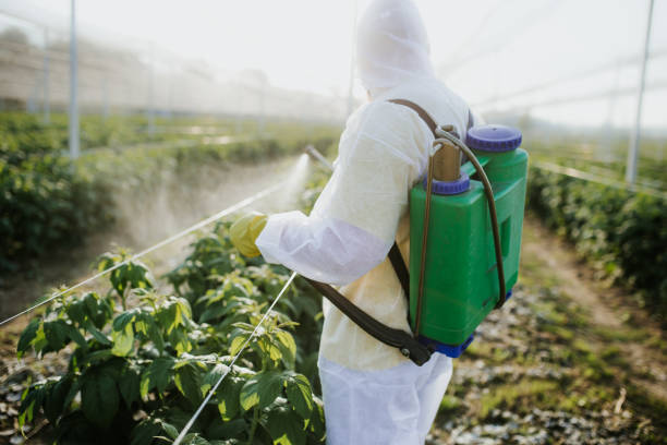 Best Affordable Pest Control Services  in Canyon, TX
